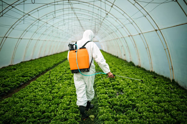 Best Affordable Pest Control Services  in Secy, AR