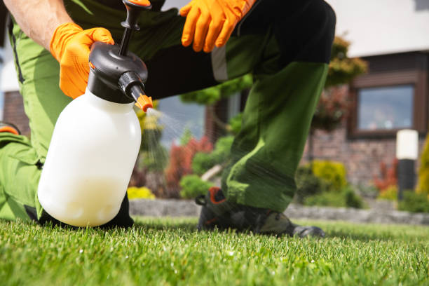 Best Pest Inspection Near Me  in Secy, AR