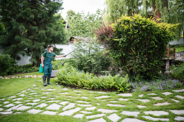 Best Mosquito Control Services  in Secy, AR