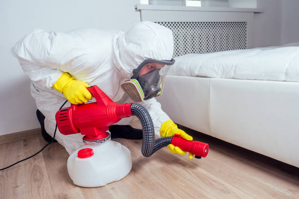 Best Wasp Removal Services  in Secy, AR