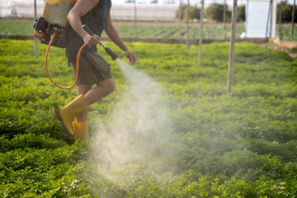 Best Mosquito Control Services  in Secy, AR