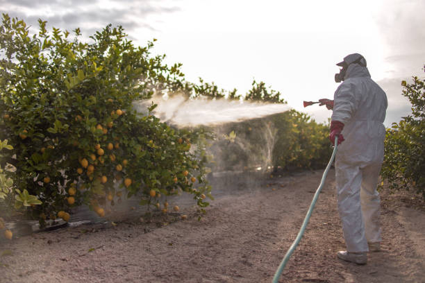 Best Residential Pest Control  in Secy, AR