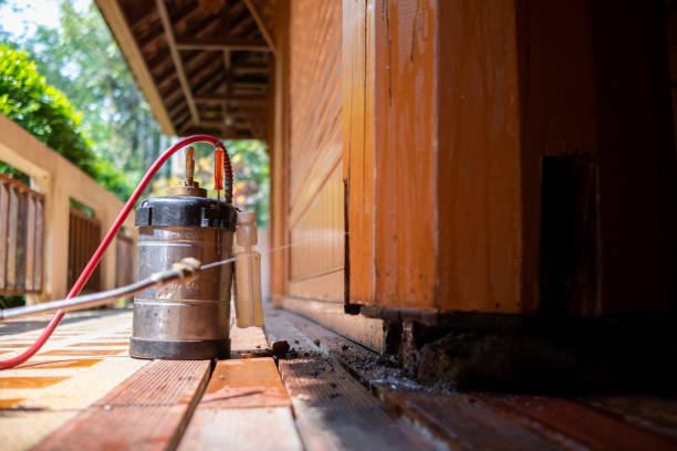 Best Wasp Removal Services  in Secy, AR