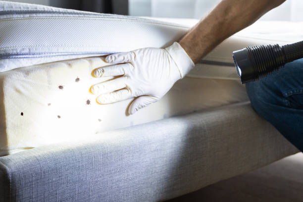 Best Local Pest Control Services  in Secy, AR