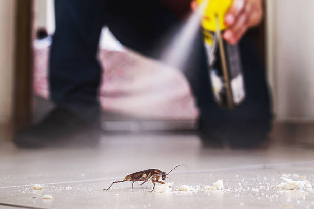 Reliable Searcy, AR Pest Control Solutions