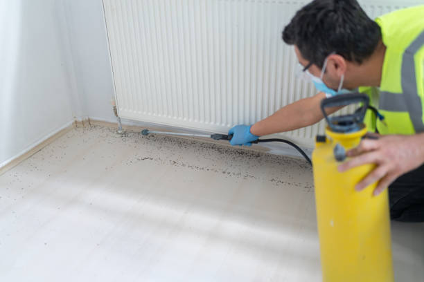 Best Pest Prevention Services  in Secy, AR