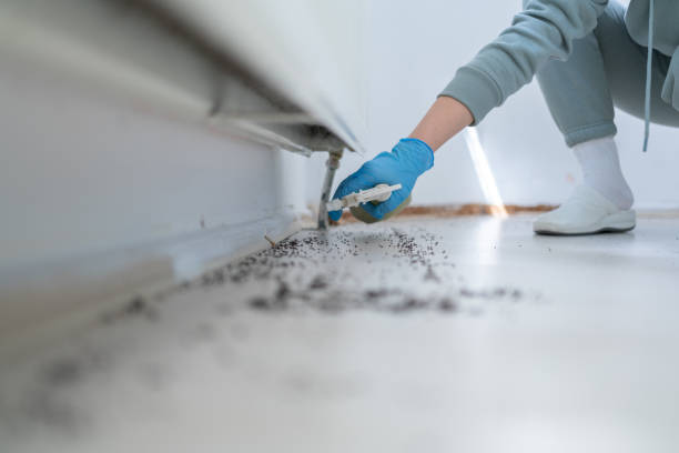 Best Termite Control Services  in Secy, AR
