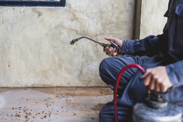 Best Affordable Pest Control Services  in Secy, AR